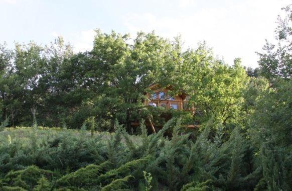 Bed & Breakfast Les En Provence *